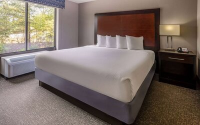Wingate by Wyndham Atlanta Galleria/Ballpark