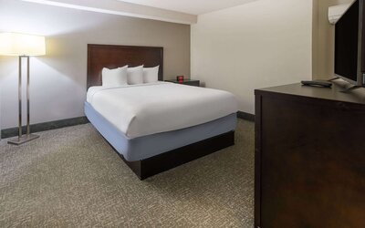 Wingate by Wyndham Atlanta Galleria/Ballpark