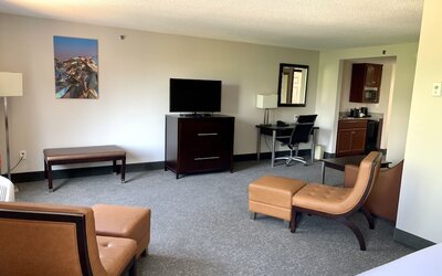 Wingate by Wyndham Atlanta Galleria/Ballpark