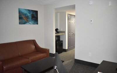 Wingate by Wyndham Atlanta Galleria/Ballpark