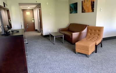 Wingate by Wyndham Atlanta Galleria/Ballpark
