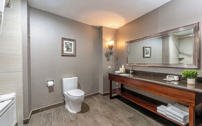 Wyndham Garden Hotel Baronne Plaza