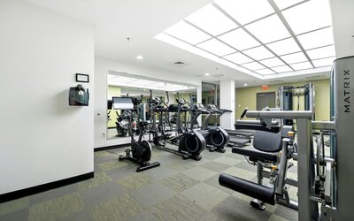 Dorsen Stay