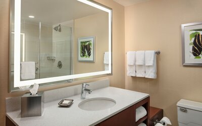Holiday Inn Austin -Town Lake by IHG