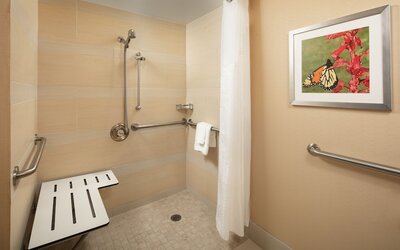 Holiday Inn Austin -Town Lake by IHG