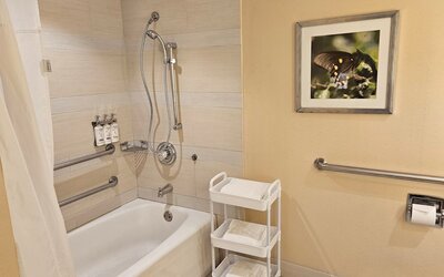Holiday Inn Austin -Town Lake by IHG