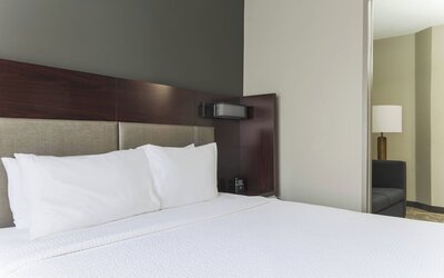 SpringHill Suites by Marriott Austin Parmer/Tech Ridge