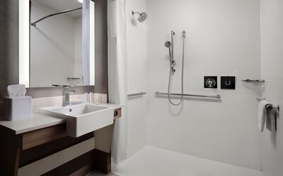 SpringHill Suites by Marriott New Orleans Downtown/Canal Street