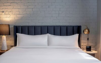 The Eliza Jane, Autograph Collection