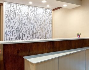 Fairfield Inn and Suites by Marriott Austin South