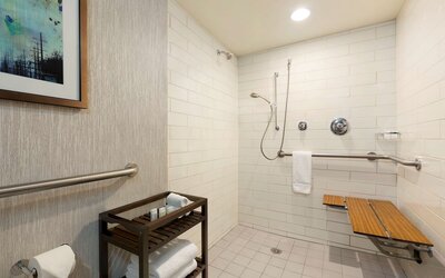 Embassy Suites by Hilton Atlanta at Centennial Olympic Park