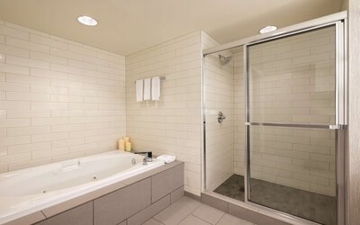 Embassy Suites by Hilton Atlanta at Centennial Olympic Park