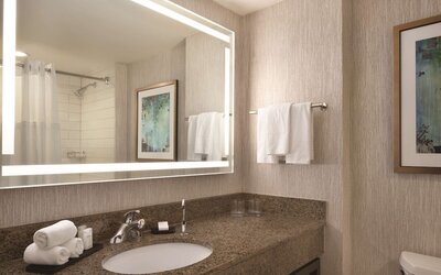 Embassy Suites by Hilton Atlanta at Centennial Olympic Park