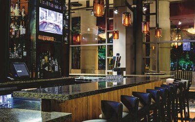 Embassy Suites by Hilton Atlanta at Centennial Olympic Park