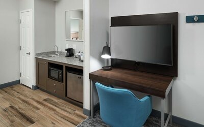 Hampton Inn & Suites Atlanta-Downtown