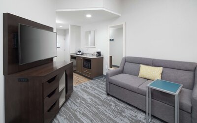 Hampton Inn & Suites Atlanta-Downtown