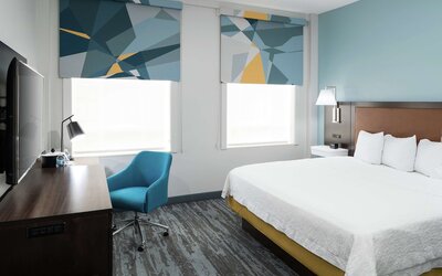 Hampton Inn & Suites Atlanta-Downtown