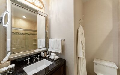 The Roosevelt New Orleans, A Waldorf Astoria Hotel