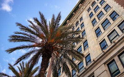 The Saint Hotel, New Orleans, French Quarter