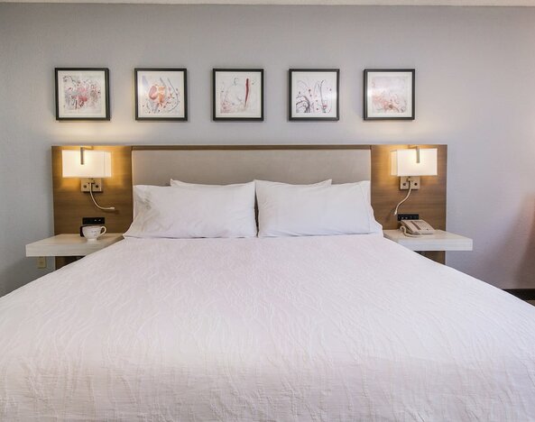 Hilton Garden Inn Atlanta Northpoint