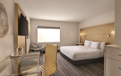 Studio Suite, 1 King Bed with Sofa bed, Accessible, Non Smoking (Roll-in Shower)