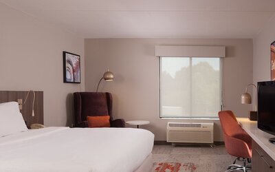 Hilton Garden Inn Atlanta Airport/Millenium Center