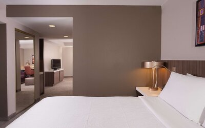Hilton Garden Inn Atlanta Airport/Millenium Center