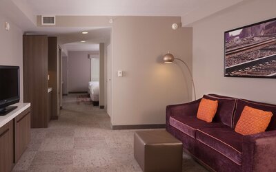 Hilton Garden Inn Atlanta Airport/Millenium Center