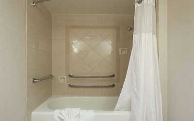 Hilton Garden Inn Atlanta Airport/Millenium Center
