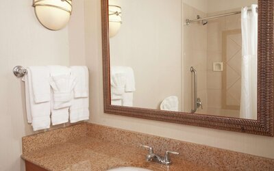 Hilton Garden Inn Atlanta Airport/Millenium Center