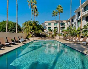 Outdoor pool surrounded by palm trees and deck lounge chairs.