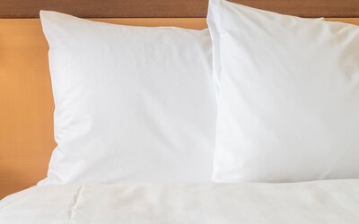 Sonesta Atlanta Airport South