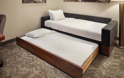 SpringHill Suites by Marriott Atlanta Airport Gateway