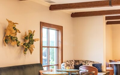 Hotel Viata