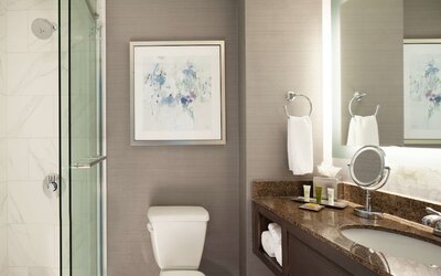 Hilton Atlanta/Marietta Hotel & Conference Center