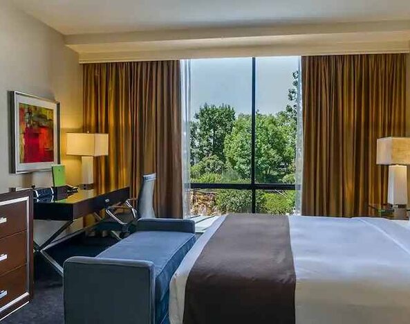 Beautiful king suite with natural light at DoubleTree by Hilton Los Angeles Downtown.