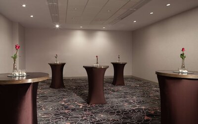 Hilton Atlanta/Marietta Hotel & Conference Center