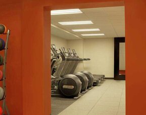 Fitness center with treadmills at the DoubleTree by Hilton Cedar Rapids Convention Complex.