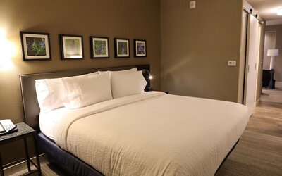 Hilton Garden Inn Austin Airport