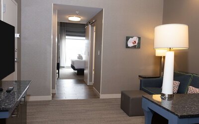 Hilton Garden Inn Austin Airport