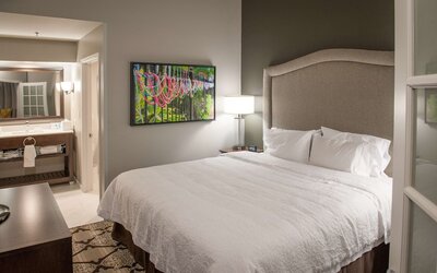 Hampton Inn & Suites New Orleans Convention Center