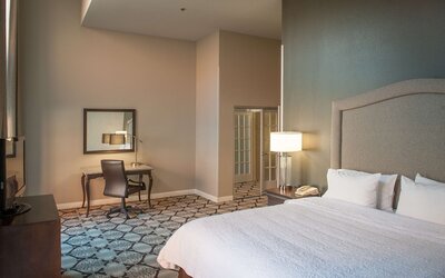 Hampton Inn & Suites New Orleans Convention Center