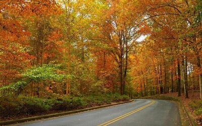 Atlanta Evergreen Lakeside Resort