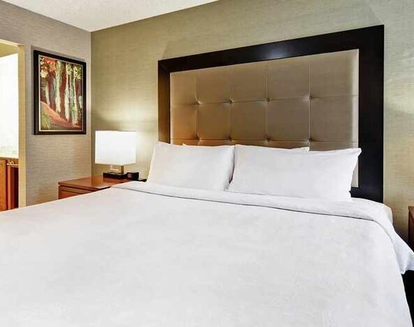 Large king suite with TV and lounge area at Homewood Suites by Hilton Atlanta-Galleria/Cumberland.