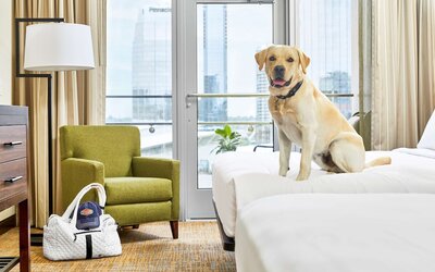 Embassy Suites by Hilton Nashville Downtown