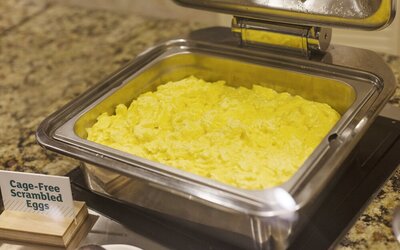 Holiday Inn Austin Midtown by IHG