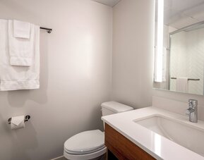 Holiday Inn New Orleans - Downtown Superdome by IHG