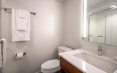 Holiday Inn New Orleans - Downtown Superdome by IHG