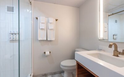 Holiday Inn New Orleans - Downtown Superdome by IHG