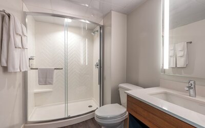 Holiday Inn New Orleans - Downtown Superdome by IHG